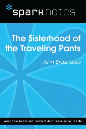 Book cover of The Sisterhood of the Traveling Pants (SparkNotes Literature Guide)