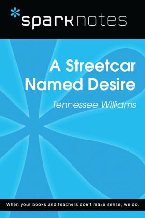 Cover of the book A Streetcar Named Desire (SparkNotes Literature Guide) by Behind the Story™ Books