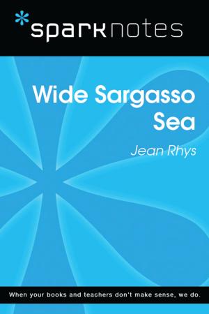 bigCover of the book Wide Sargasso Sea (SparkNotes Literature Guide) by 