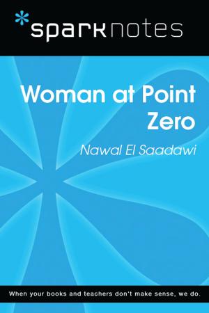 bigCover of the book Woman at Point Zero (SparkNotes Literature Guide) by 