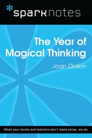 bigCover of the book The Year of Magical Thinking (SparkNotes Literature Guide) by 