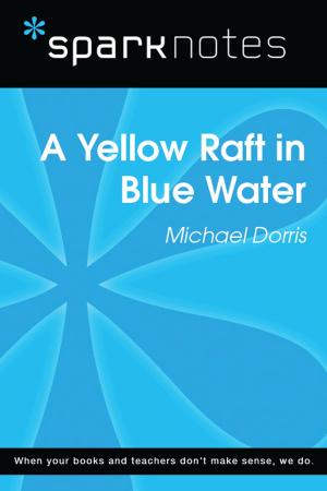 Book cover of Yellow Raft in Blue Water (SparkNotes Literature Guide)