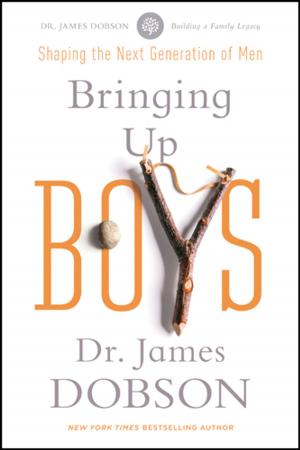 Cover of the book Bringing Up Boys by Christian Books Today Ltd