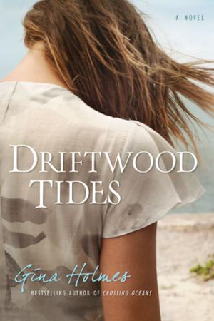 Cover of the book Driftwood Tides by Jessica Dotta
