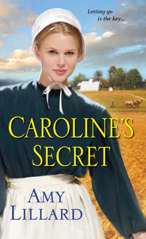 Cover of the book Caroline's Secret by Jennifer Dawson