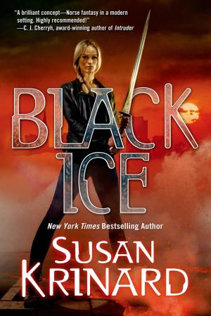 Cover of the book Black Ice by Rhiannon Held