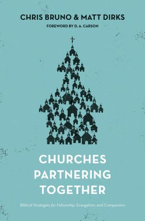 Cover of the book Churches Partnering Together by Nathan A. Finn, Paul R. House, George H. Guthrie, Anthony L. Chute, Gregg R. Allison, Gregory C. Cochran, Justin L. McLendon, Benjamin M. Skaug, Charles L. Quarles