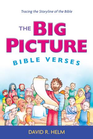 Cover of the book The Big Picture Bible Verses by Dan DeWitt