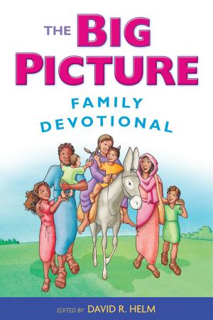 Cover of the book The Big Picture Family Devotional by William B. Barcley, Robert Cara, Benjamin Gladd, Charles E. Hill, Reggie M. Kidd, Simon J. Kistemaker, Bruce A. Lowe, Guy P. Waters, Michael J. Kruger