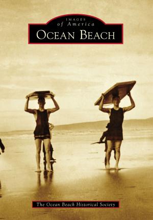 Cover of the book Ocean Beach by Noah Voss