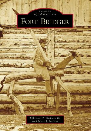 Cover of the book Fort Bridger by David Carroll