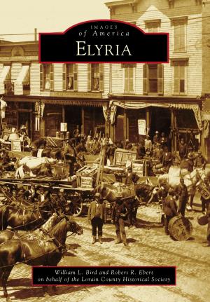 Cover of the book Elyria by Dorian Vaughan