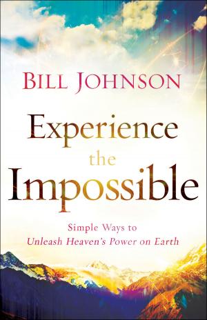 Cover of the book Experience the Impossible by Andrew Root