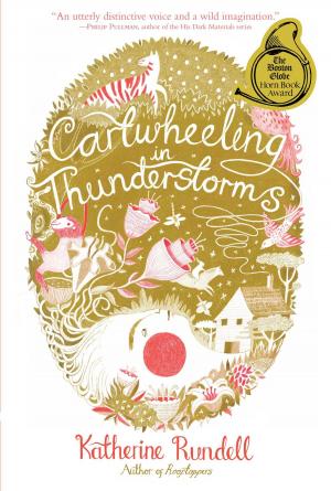 Cover of the book Cartwheeling in Thunderstorms by Harry Mazer