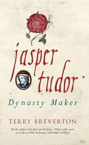 Cover of the book Jasper Tudor by Roy Stokes