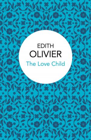 Cover of the book The Love Child by Eva Ibbotson