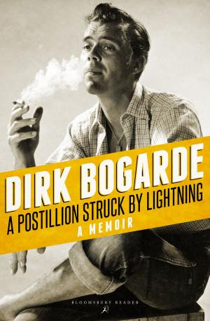 Cover of the book A Postillion Struck by Lightning by John Ferling