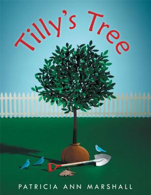 Book cover of Tilly's Tree
