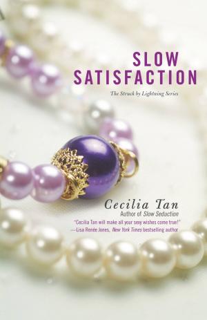 Cover of the book Slow Satisfaction by Kate Brady