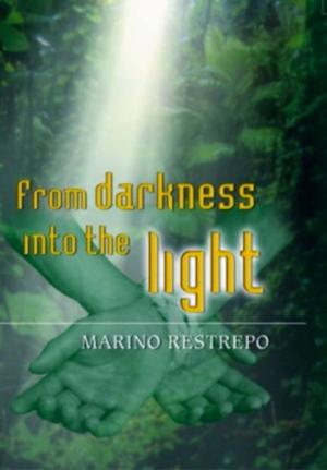 Cover of the book From Darkness Into the Light by Bill Kortenbach