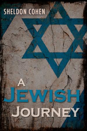 Book cover of A Jewish Journey