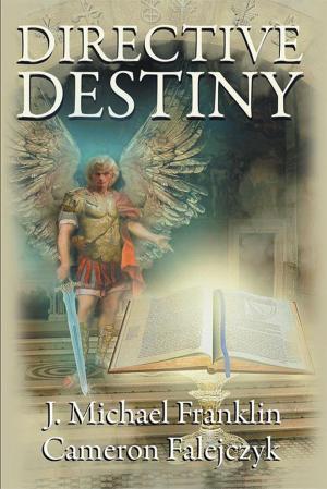 Cover of the book Directive Destiny by Jonathan Mubanga Mumbi