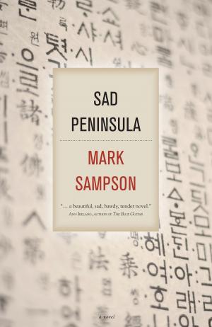 Cover of the book Sad Peninsula by Santiago Salcedo