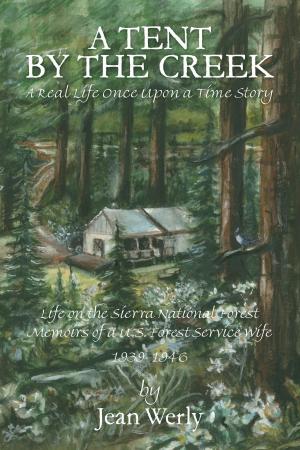 Cover of the book A Tent by the Creek by Joel Sweeney, DTM