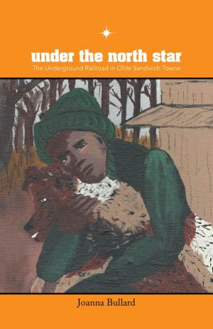 Cover of the book Under The North Star by Allen Sackmann