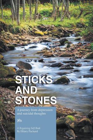 Cover of the book Sticks and Stones by Pat Hayles