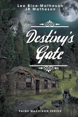 Cover of the book Destiny's Gate by Wayne Carman Baker