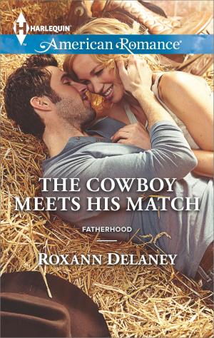 bigCover of the book The Cowboy Meets His Match by 