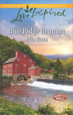 Cover of the book Blue Ridge Reunion by Mary Anne Wilson