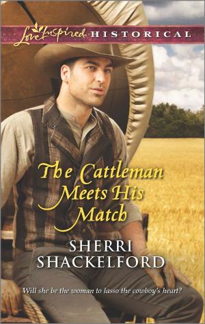 Cover of the book The Cattleman Meets His Match by Sara Craven