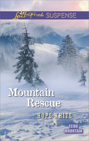 Cover of the book Mountain Rescue by Kayla Lowe