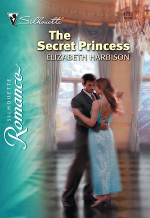 Cover of the book The Secret Princess by Amanda Stevens