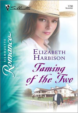 Cover of the book Taming of the Two by Susan Stephens