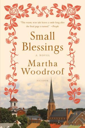 Cover of the book Small Blessings by Abby Stern
