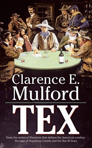 Cover of the book Tex by Aimée Thurlo, David Thurlo