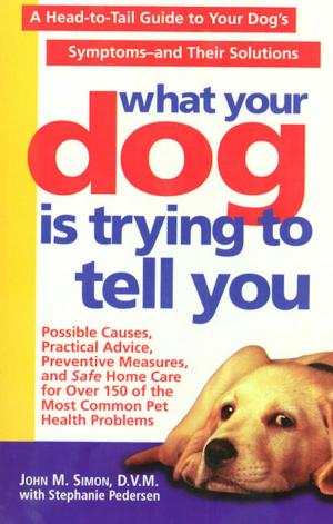 Cover of the book What Your Dog Is Trying To Tell You by Matthew Dicks