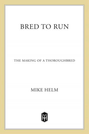 Book cover of Bred To Run