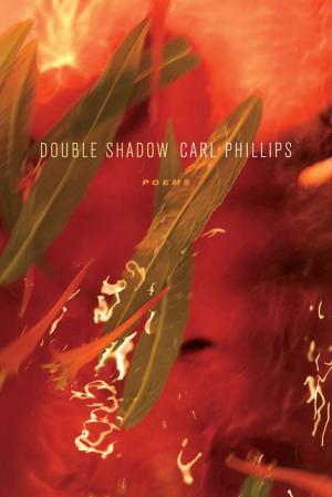 Cover of the book Double Shadow by Chris Salewicz