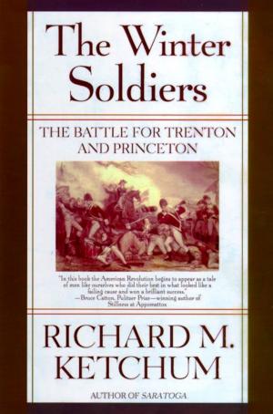 Book cover of The Winter Soldiers