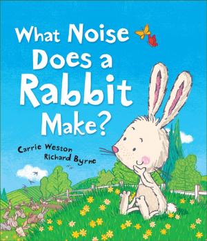 Cover of the book What Noise Does a Rabbit Make? by David McKee