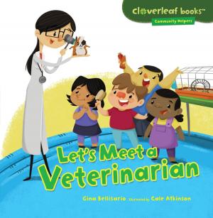 Cover of the book Let's Meet a Veterinarian by Christo Ananth