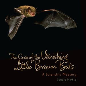 Cover of the book The Case of the Vanishing Little Brown Bats by Brian P. Cleary