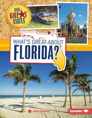 Cover of the book What's Great about Florida? by Laurie Friedman