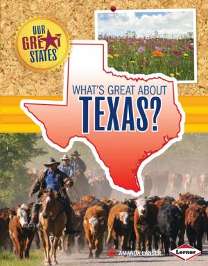 bigCover of the book What's Great about Texas? by 