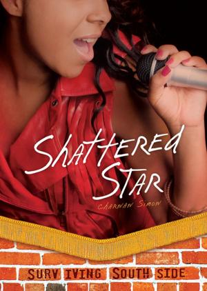 Cover of the book Shattered Star by Anne Rockwell