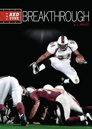 Cover of the book Breakthrough by Tim Harris